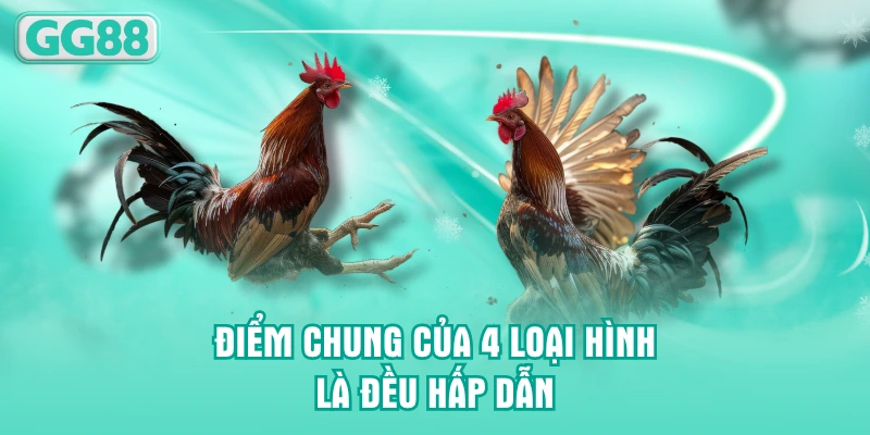 Điểm chung của 4 loại hình là đều hấp dẫn